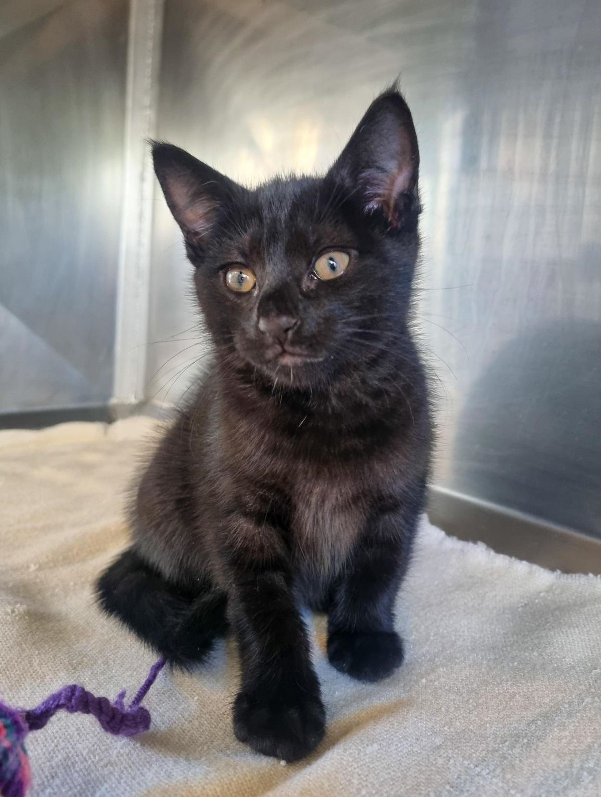 Gallery image: Harper