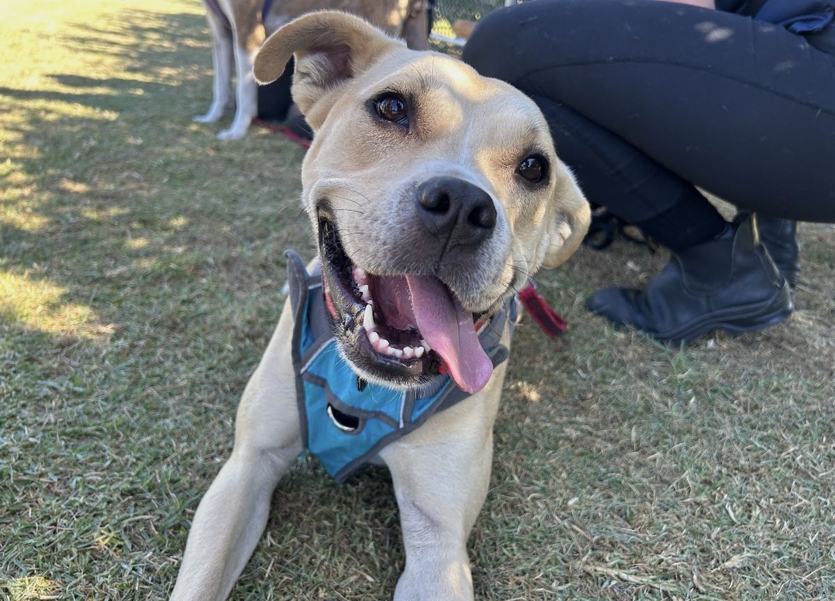 Gallery image: Pablo