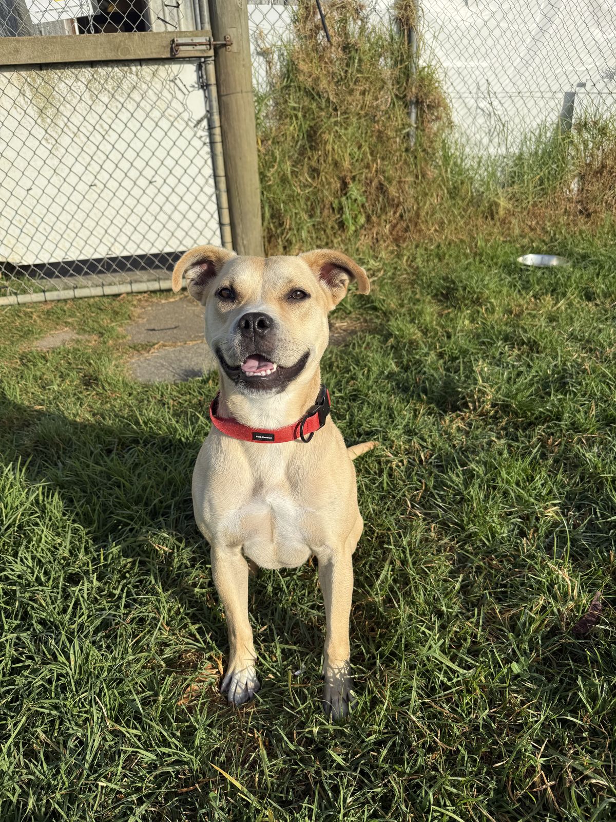 Gallery image: Pablo