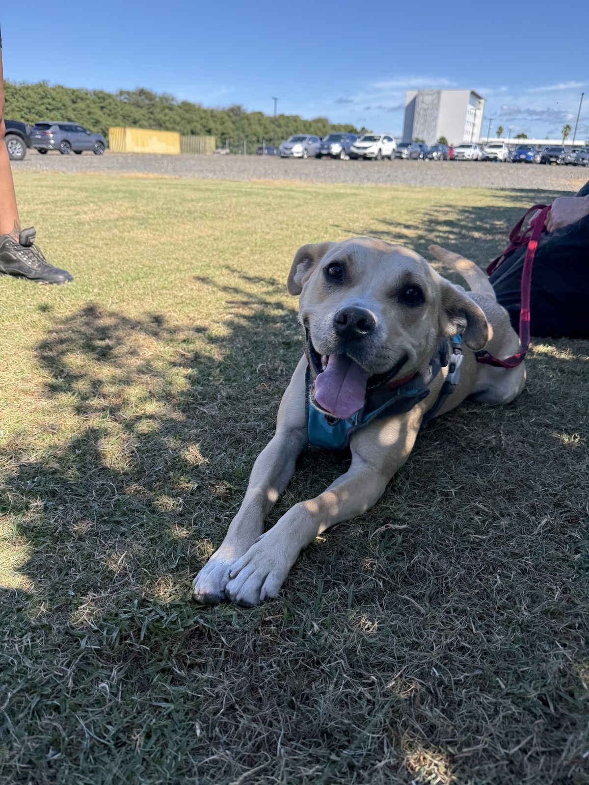 Gallery image: Pablo