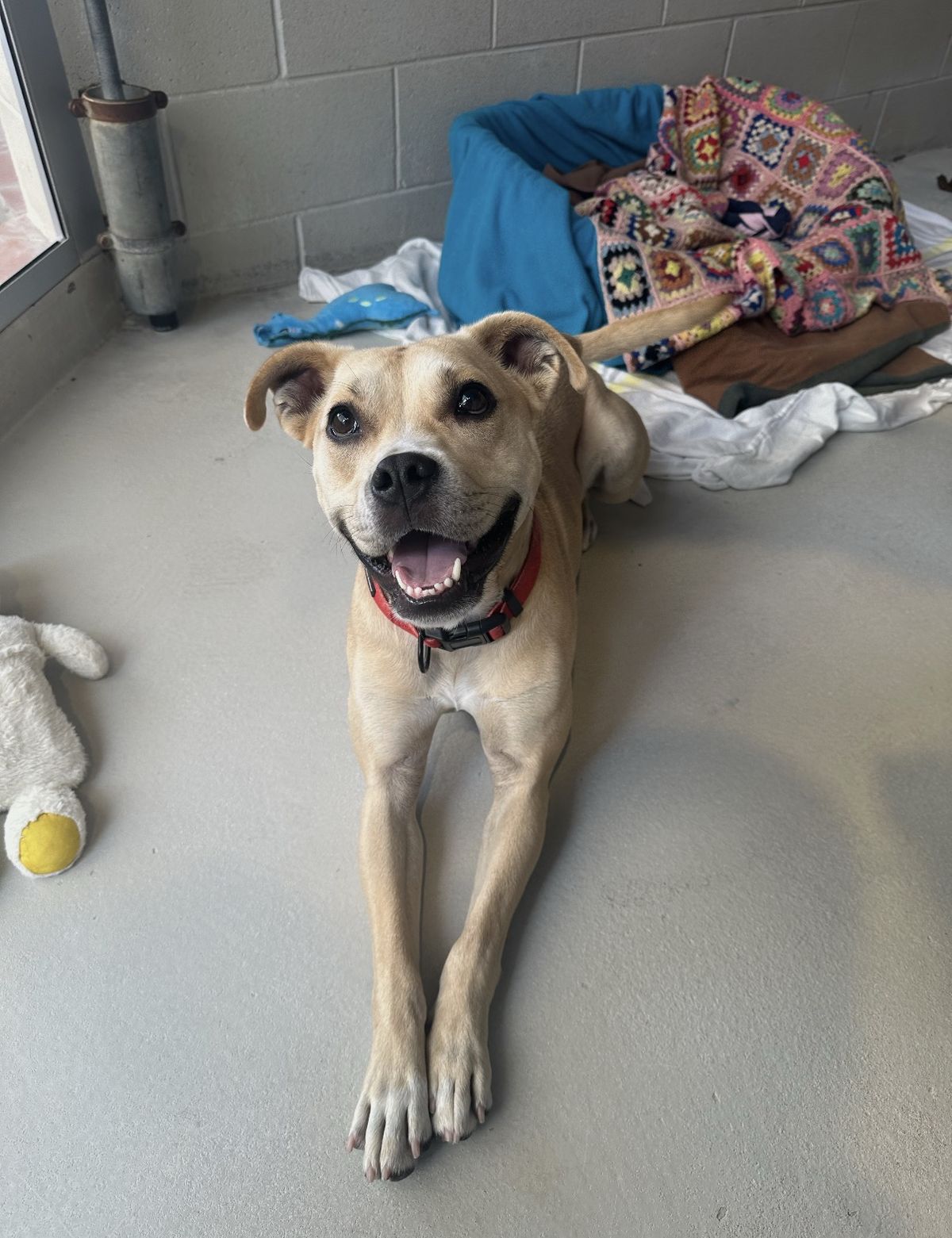 Gallery image: Pablo