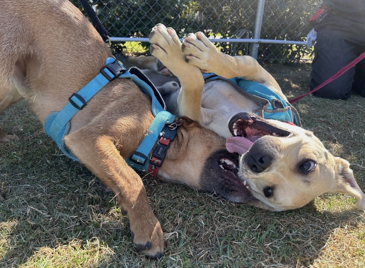 Gallery image: Pablo