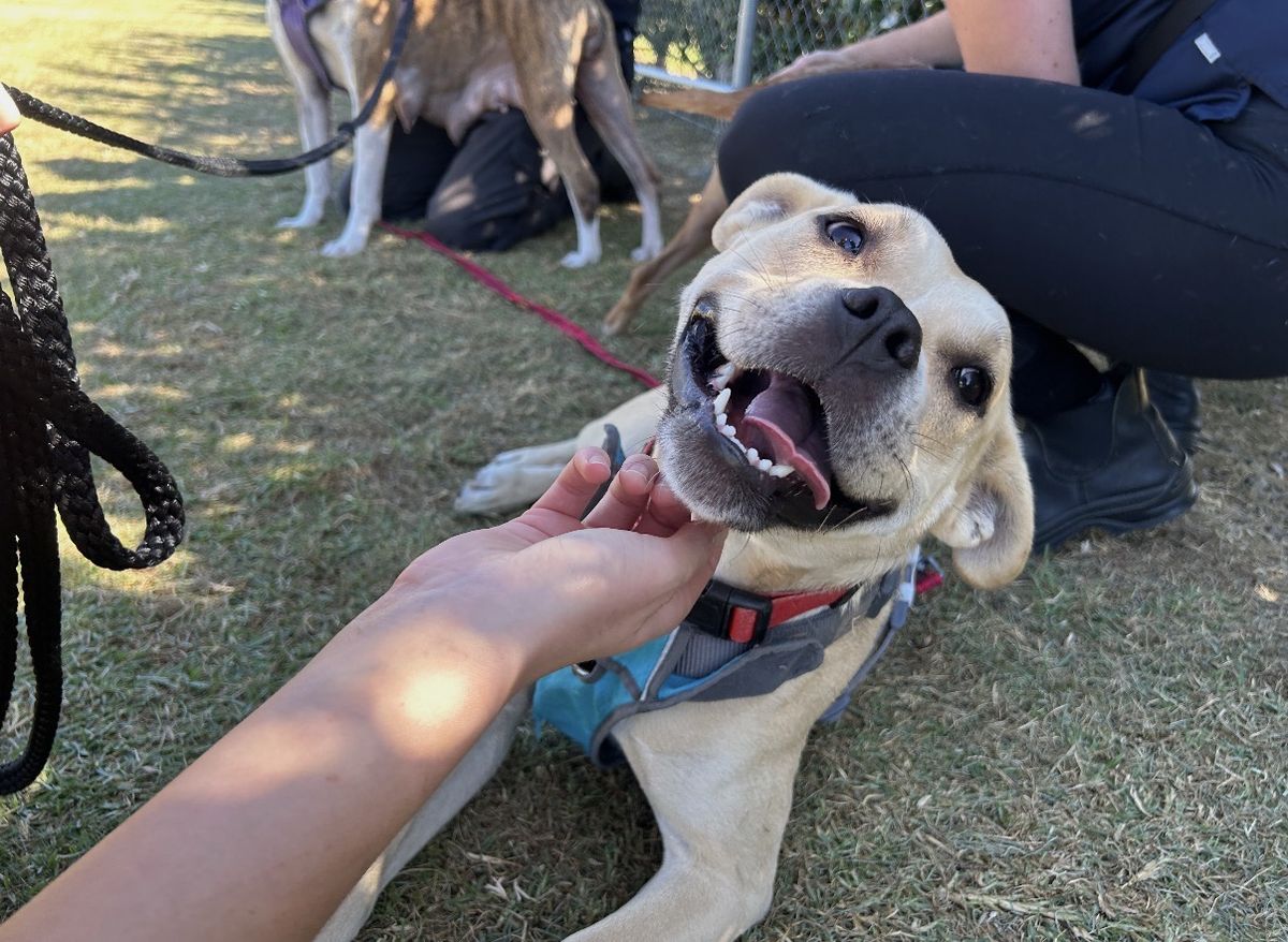 Gallery image: Pablo