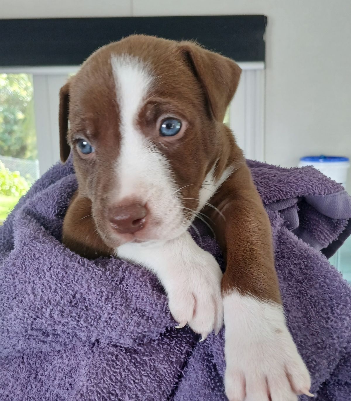 Gallery image: Bruce