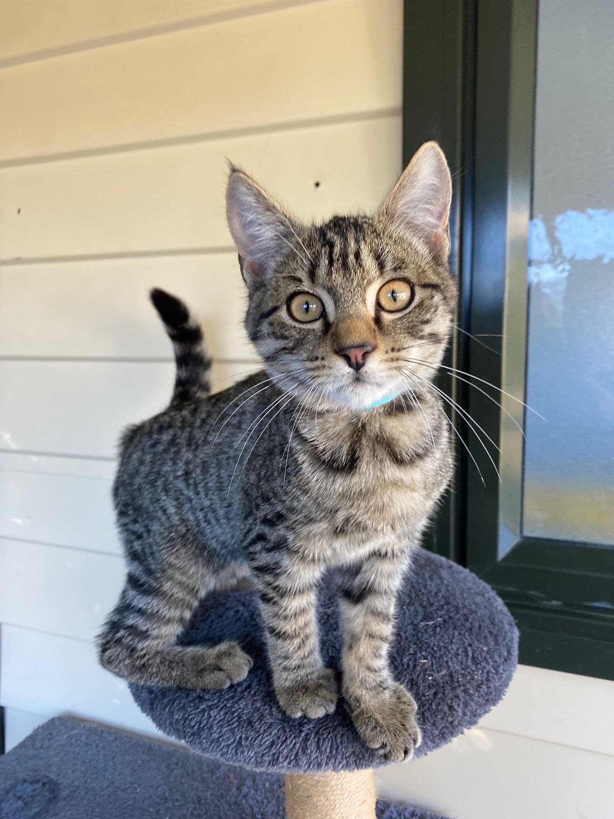 Gallery image: Micah