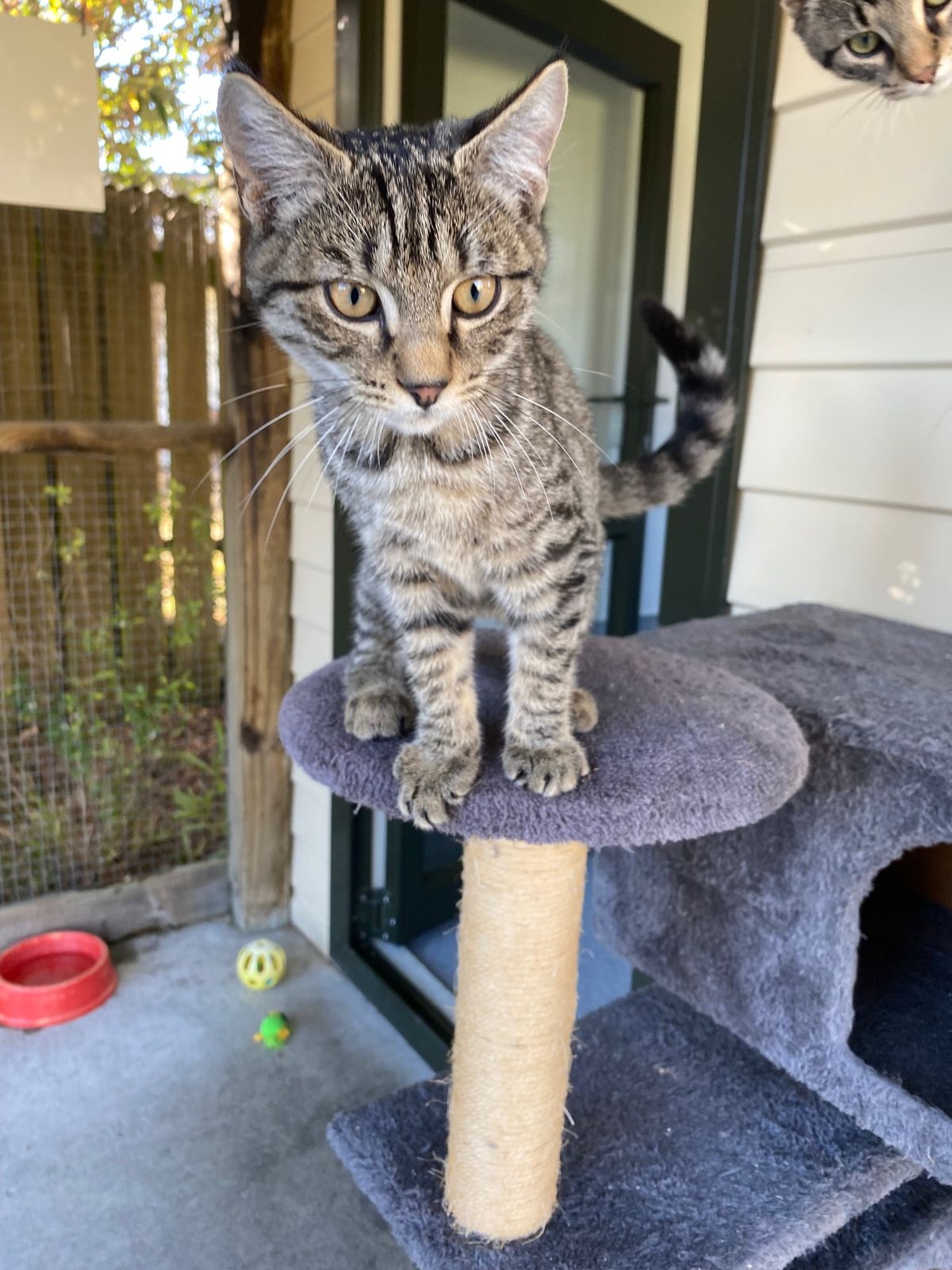 Gallery image: Micah