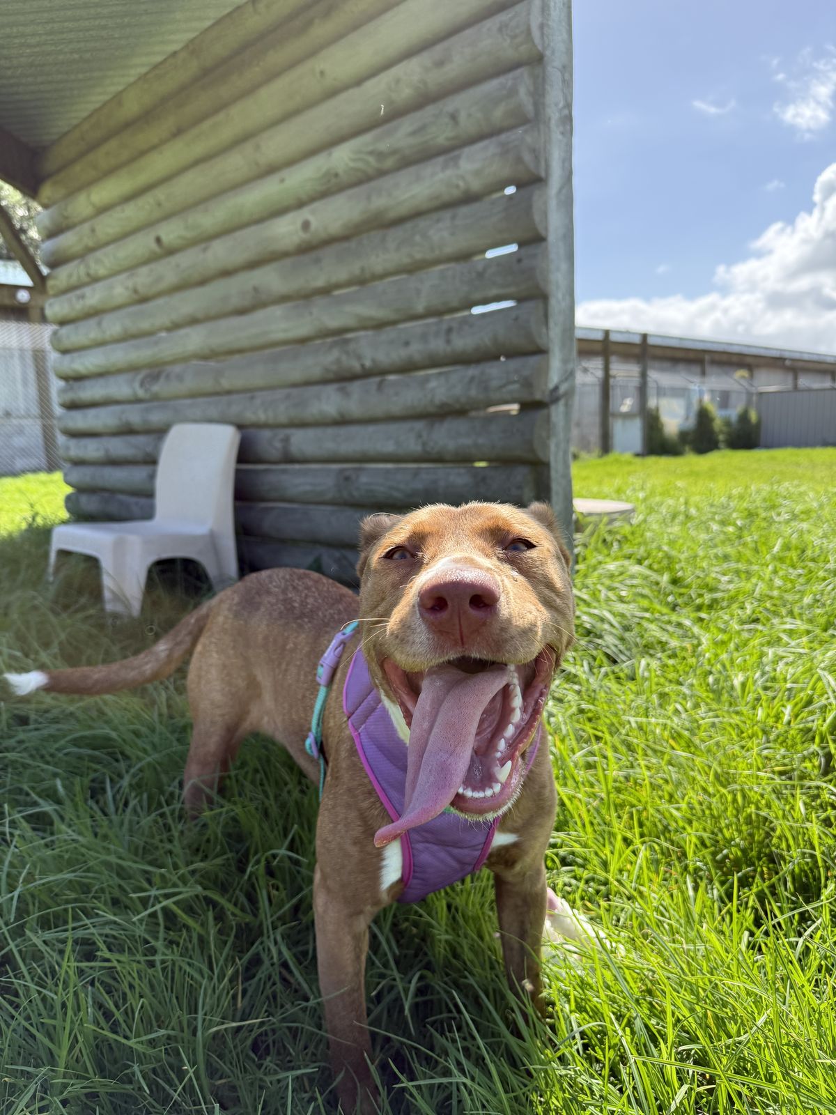 Gallery image: Lottie