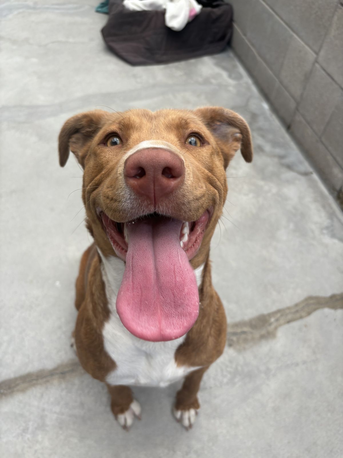 Gallery image: Lottie