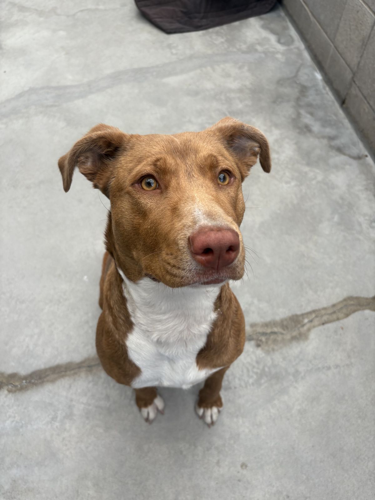 Gallery image: Lottie