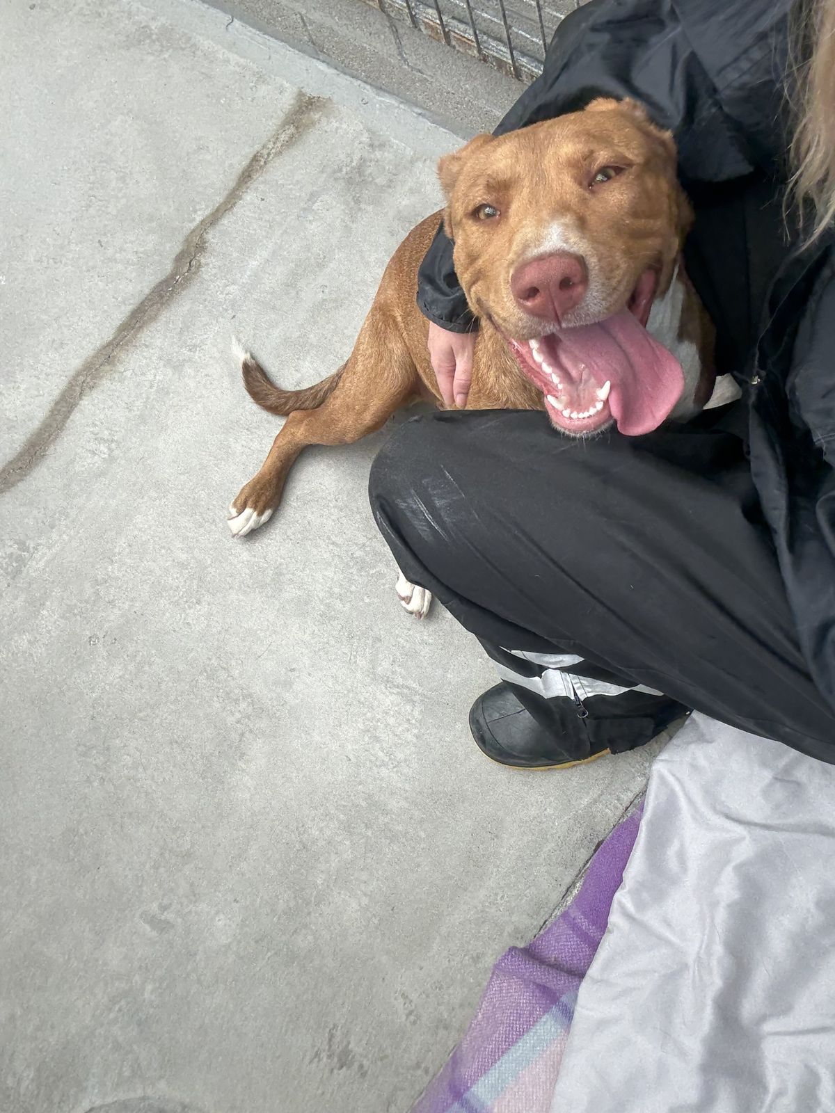 Gallery image: Lottie