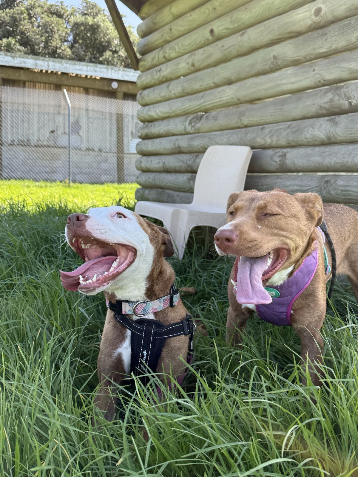 Gallery image: Lottie