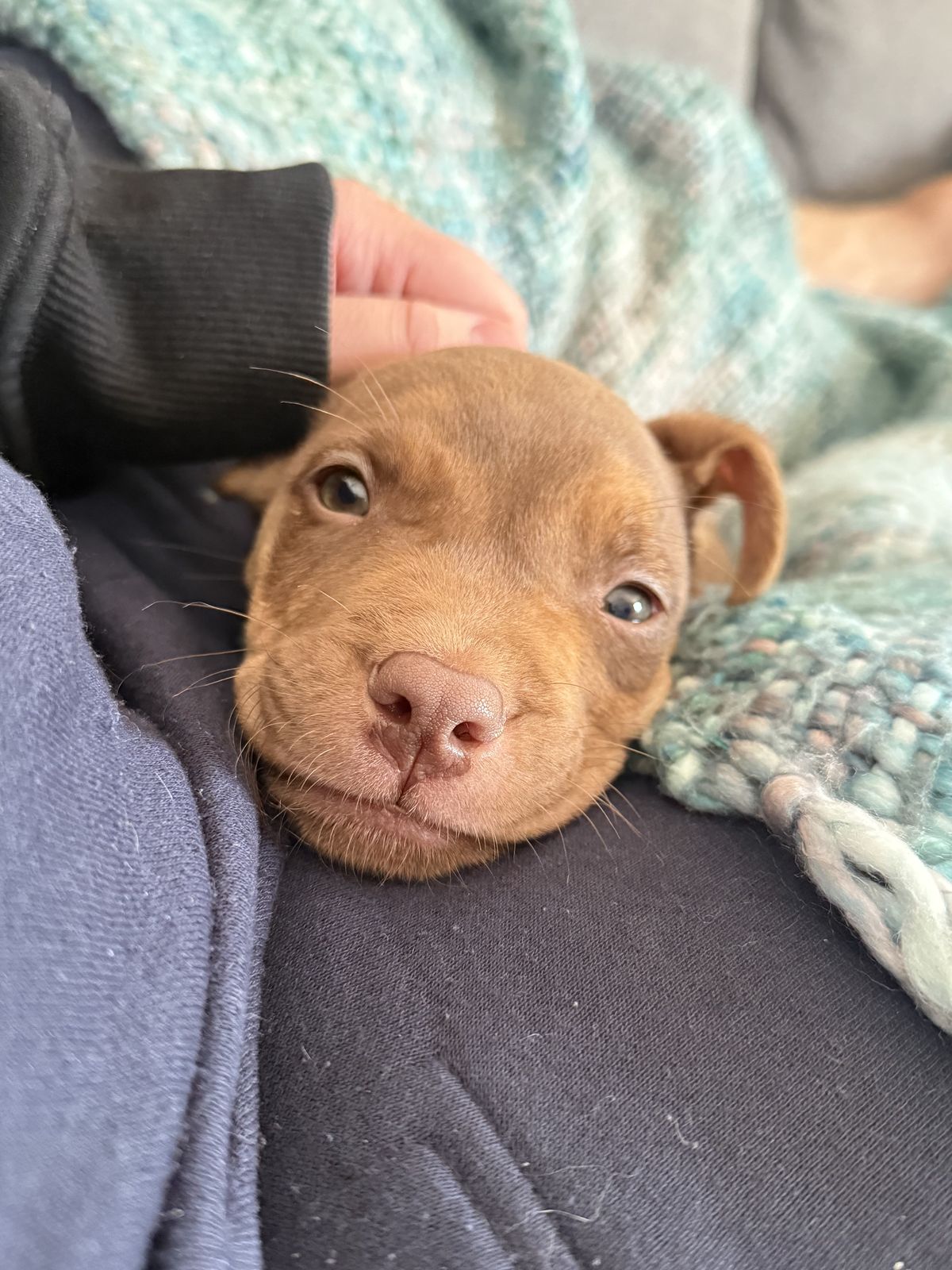 Gallery image: Felix 