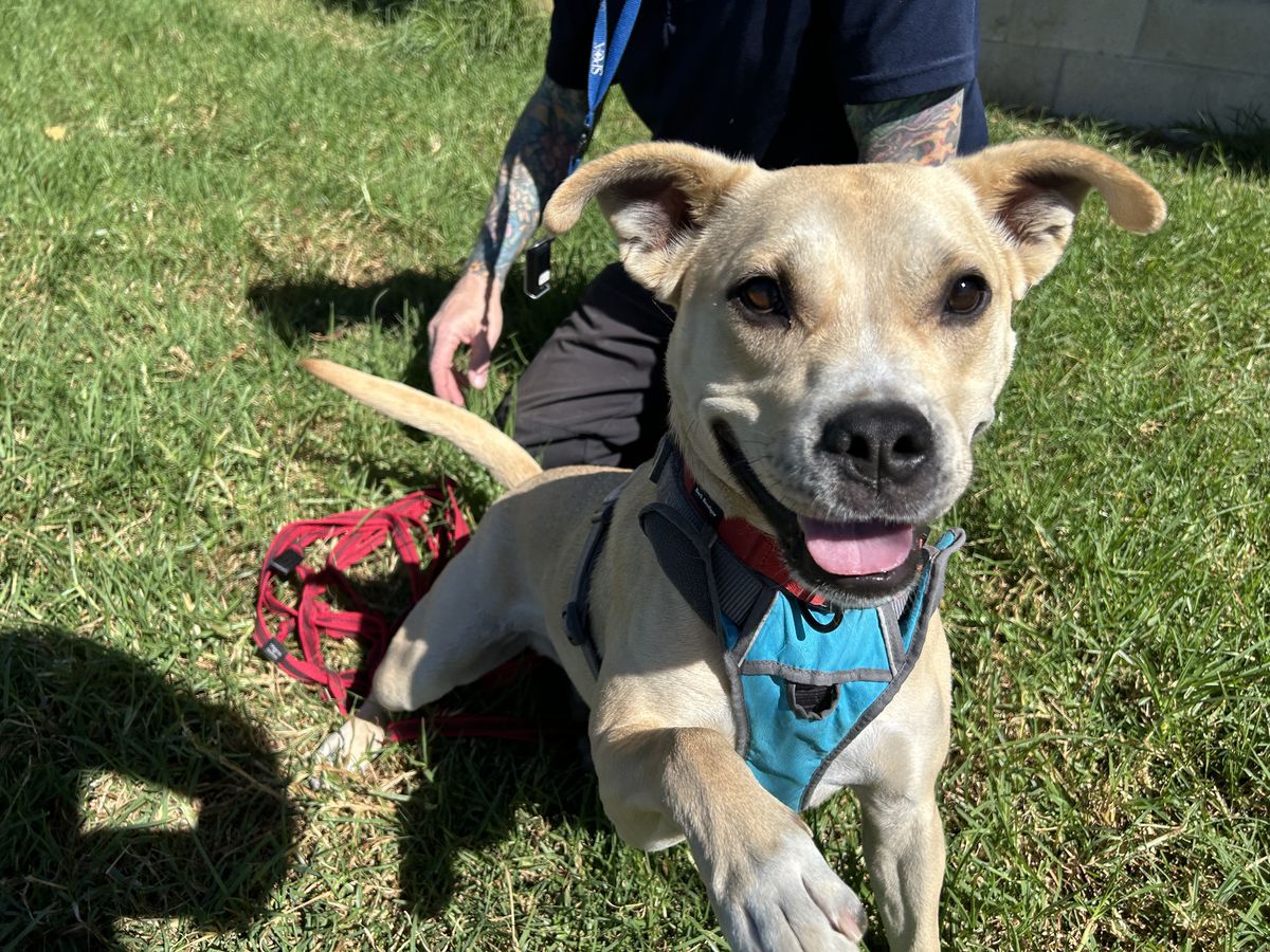 Gallery image: Pablo