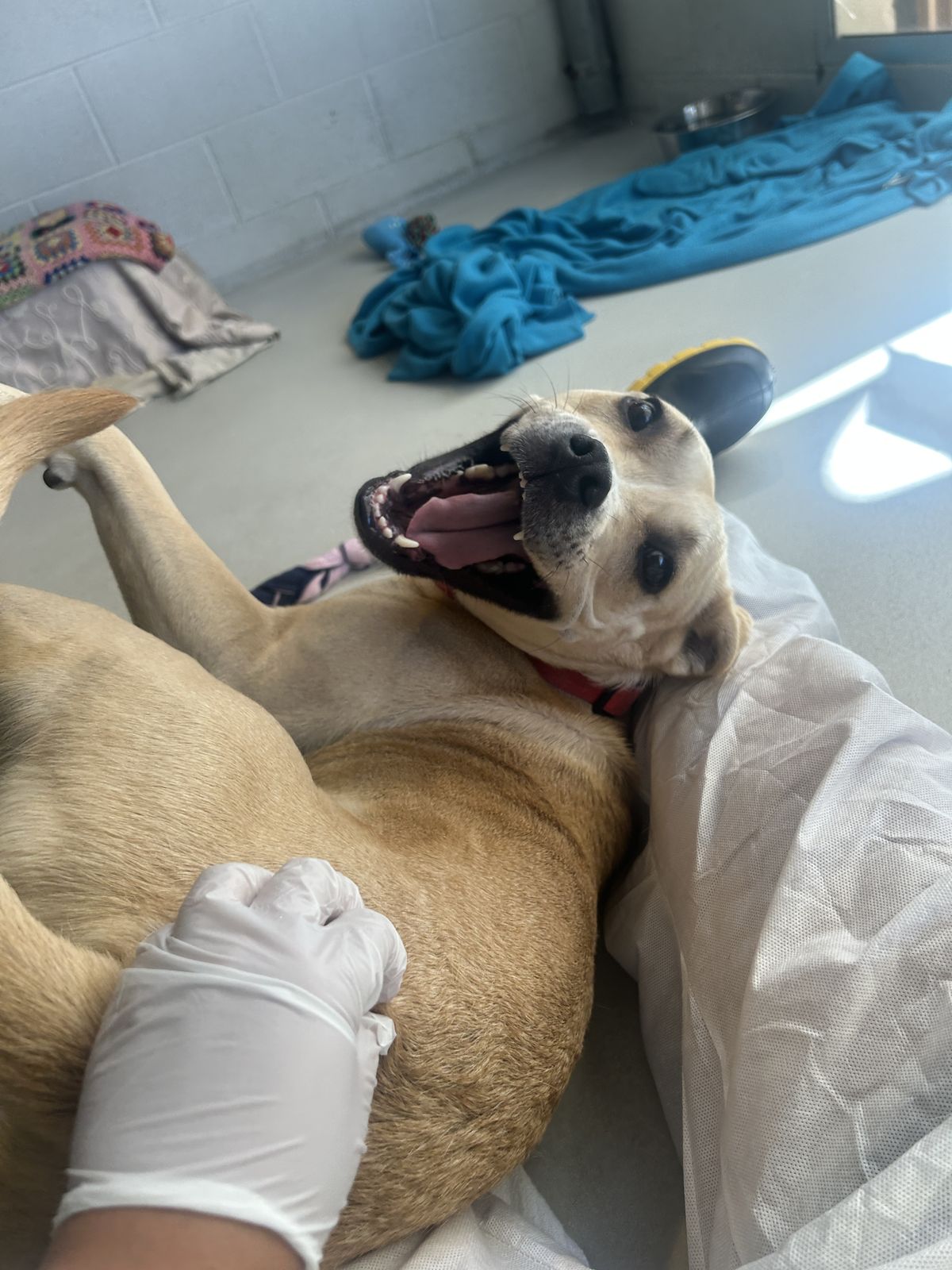 Gallery image: Pablo