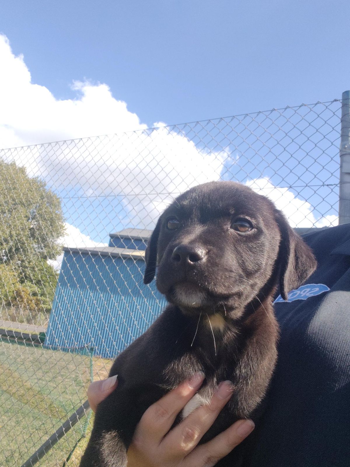 Gallery image: Bowie