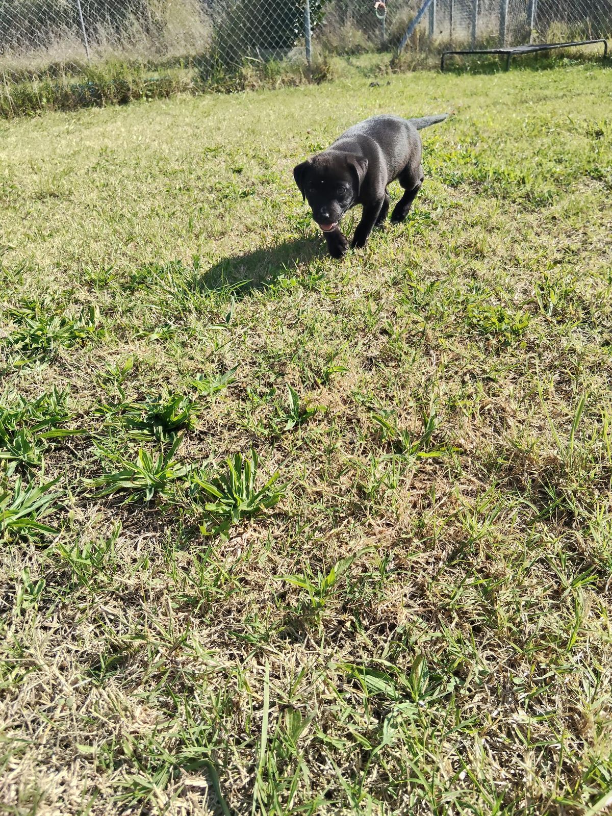 Gallery image: Bowie