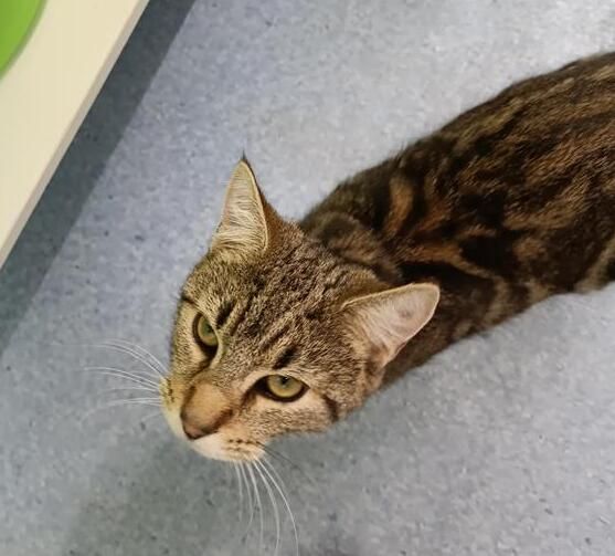 Gallery image: Bobby