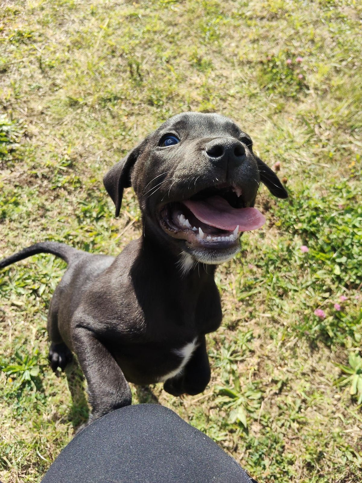 Gallery image: Lennon