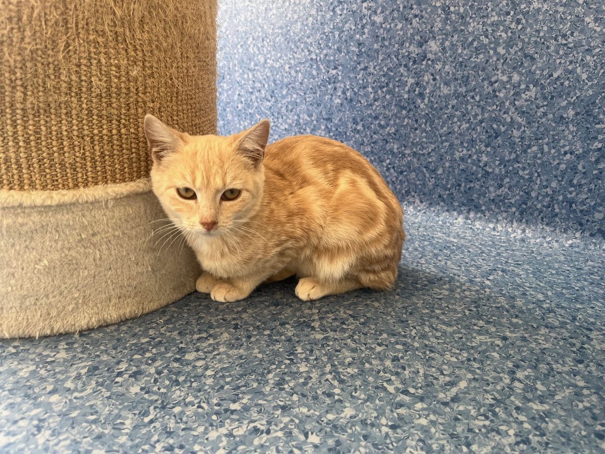 Gallery image: Fleetwood