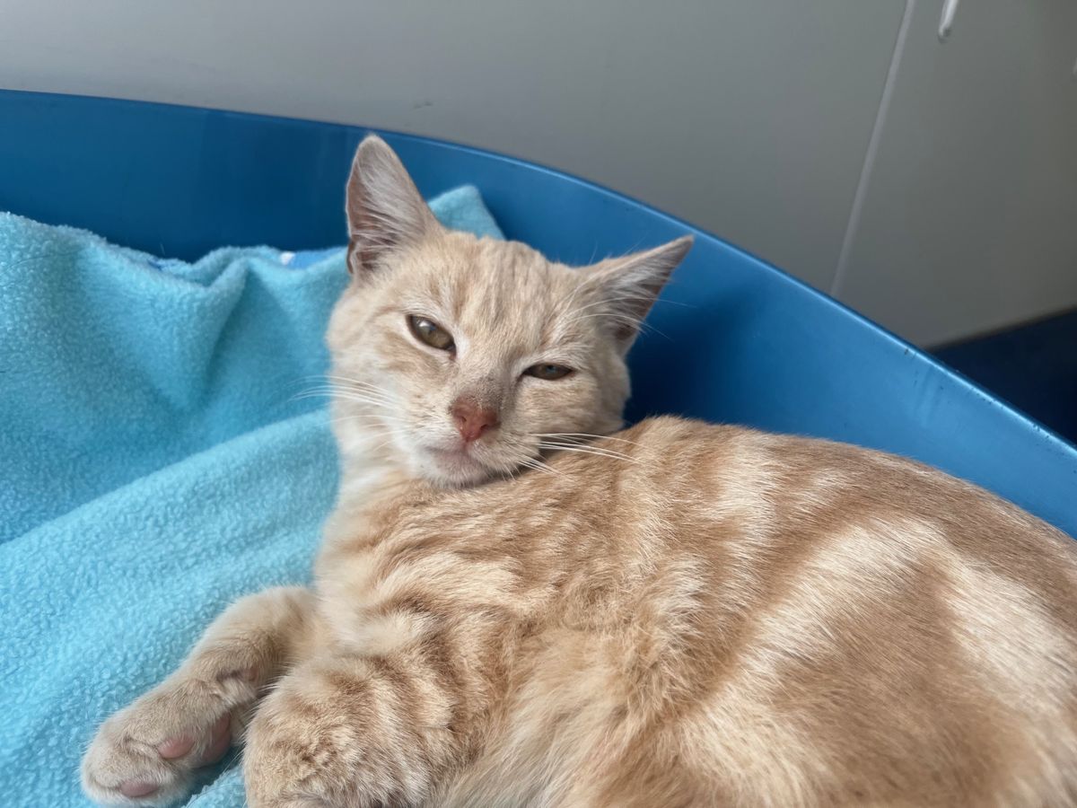 Gallery image: Fleetwood