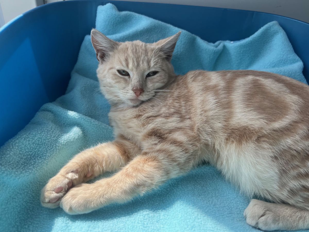 Gallery image: Fleetwood