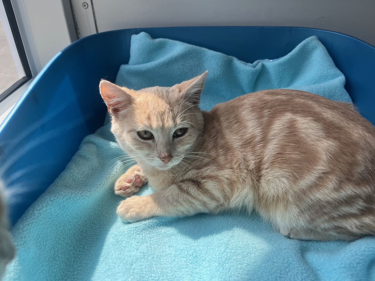 Gallery image: Fleetwood