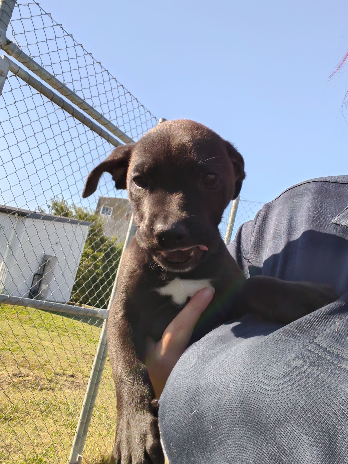 Gallery image: Hendrix