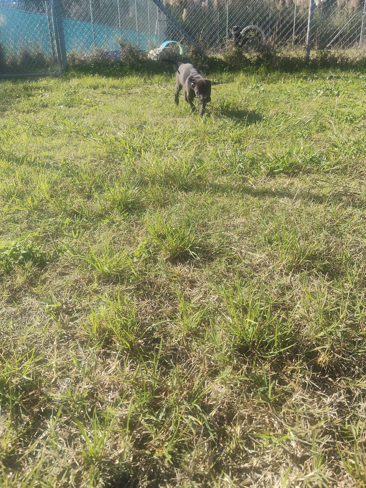 Gallery image: Hendrix