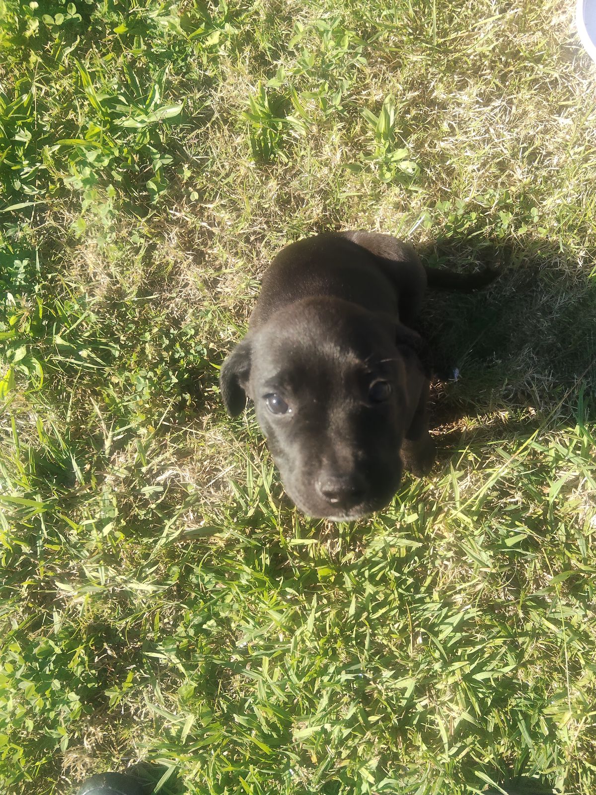 Gallery image: Hendrix