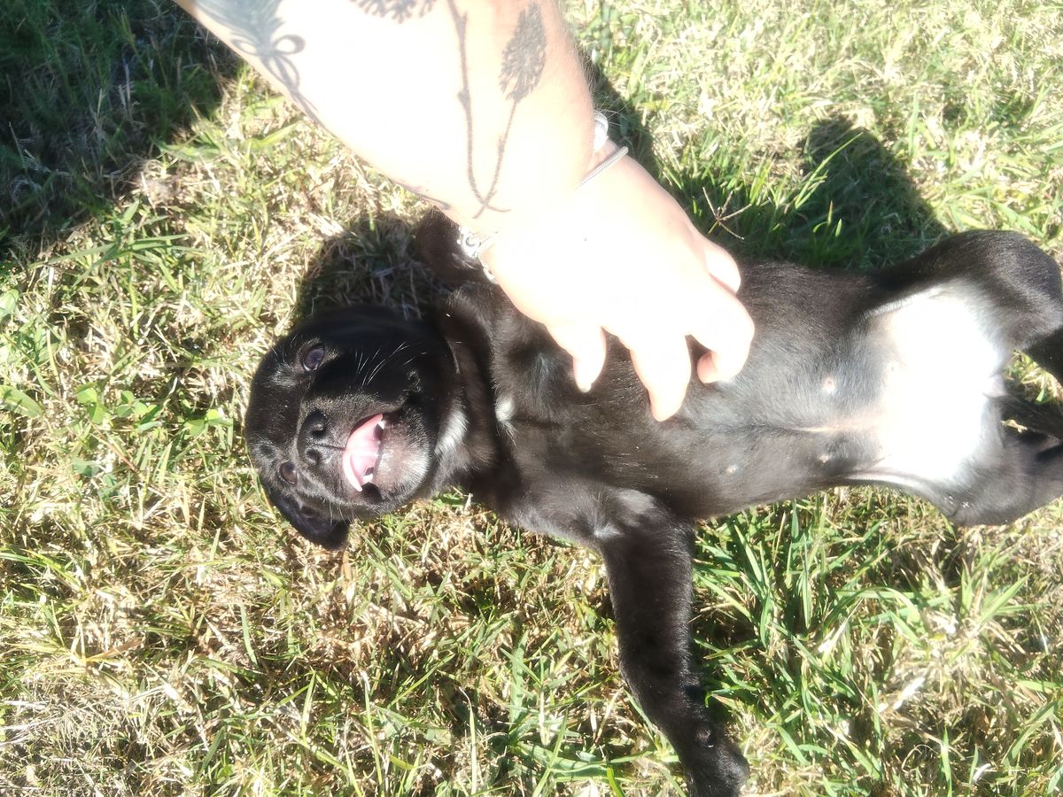 Gallery image: Dolly