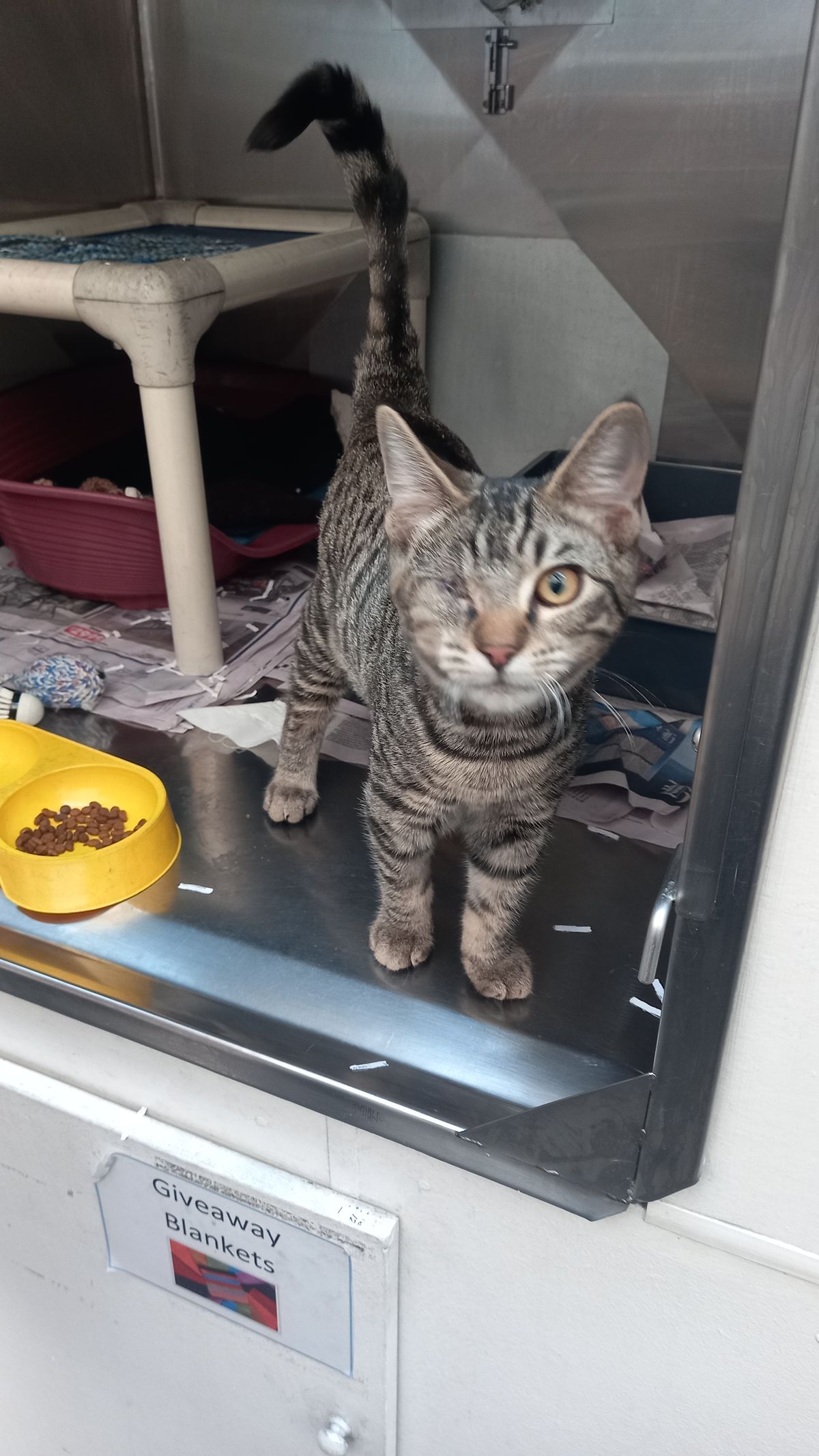 Gallery image: Teenie 