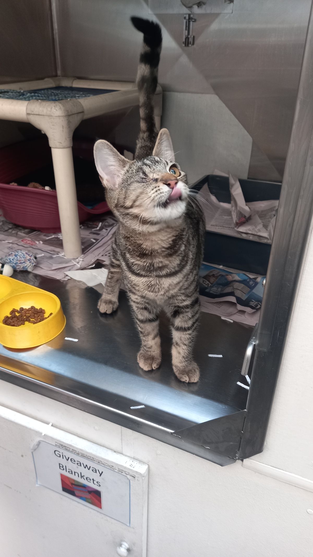 Gallery image: Teenie 