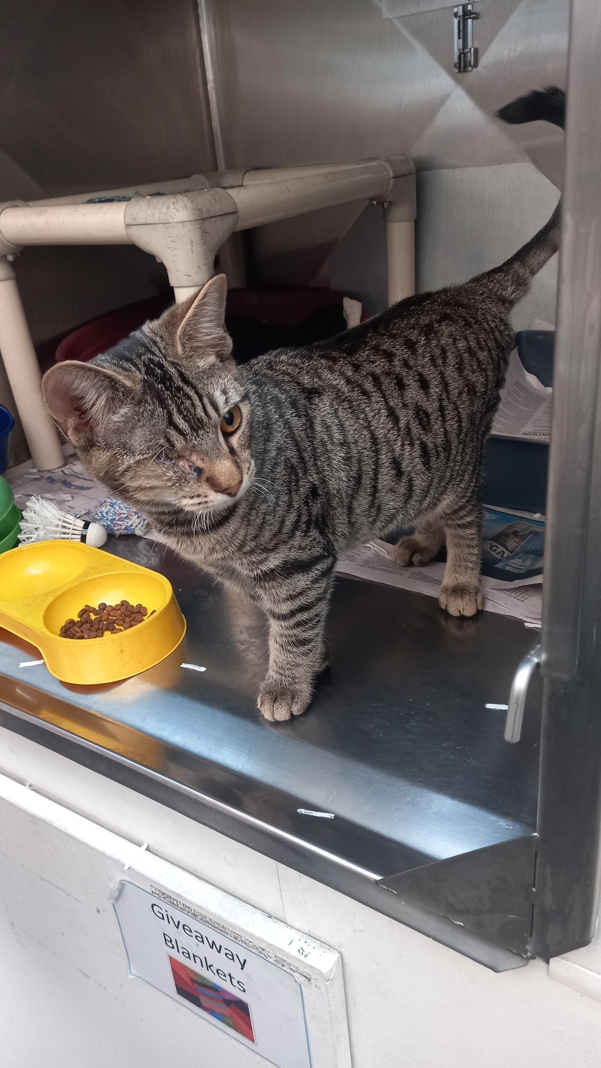 Gallery image: Teenie 