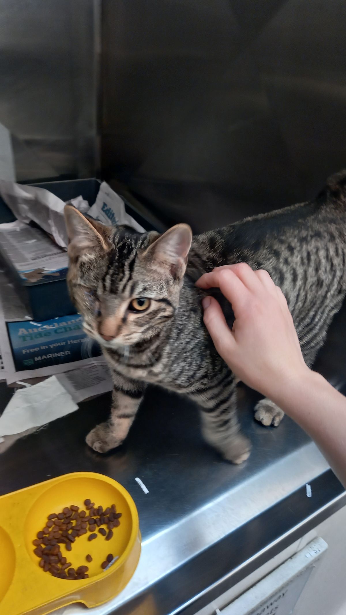 Gallery image: Teenie 