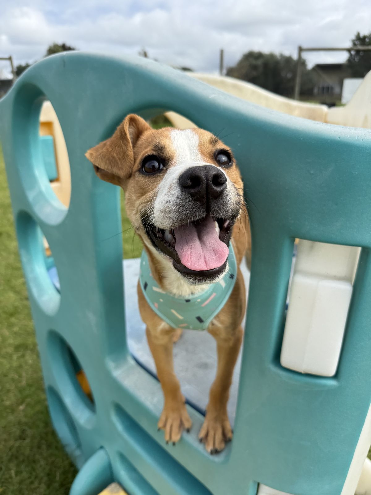 Gallery image: Daniel