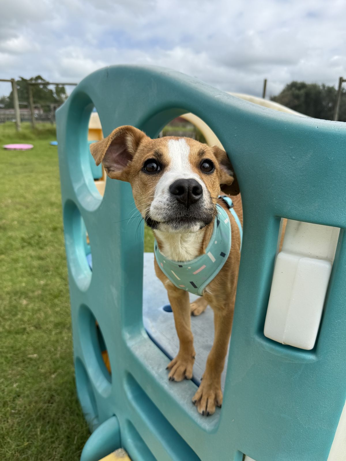 Gallery image: Daniel