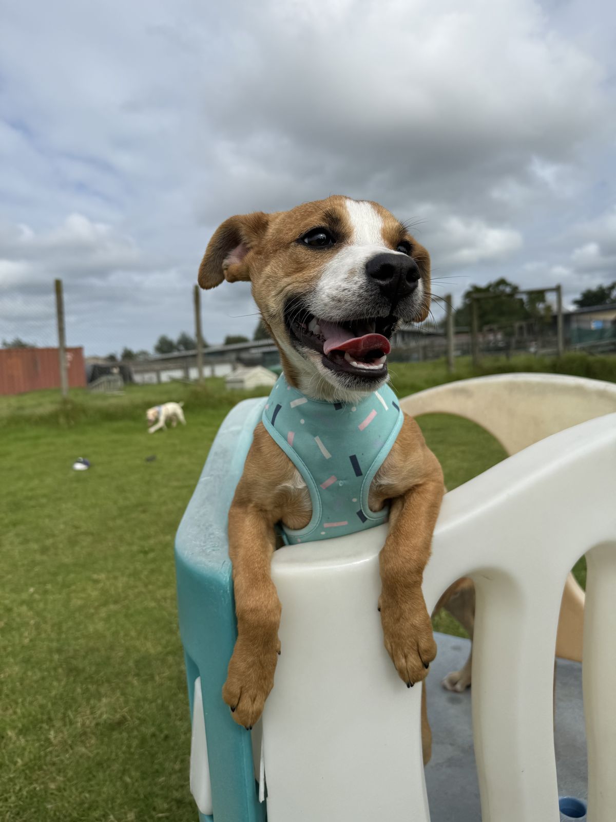 Gallery image: Daniel