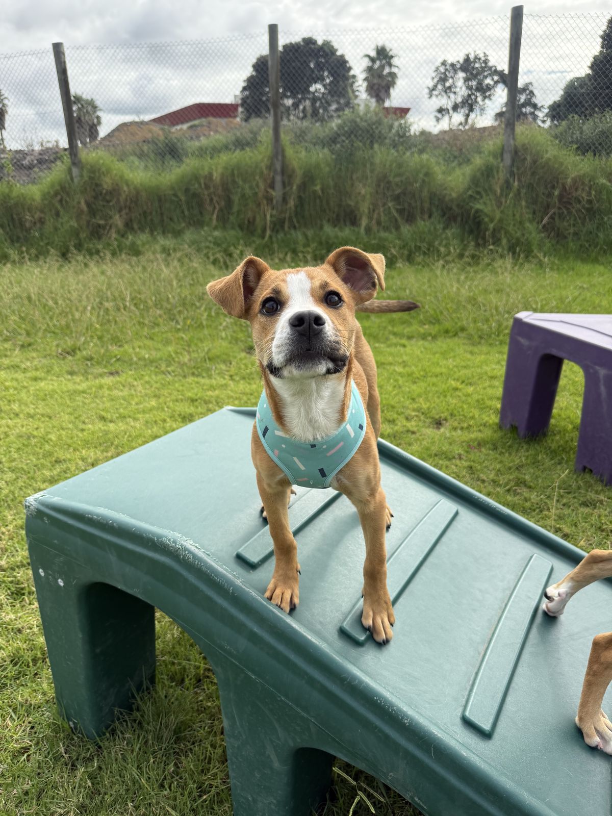 Gallery image: Daniel