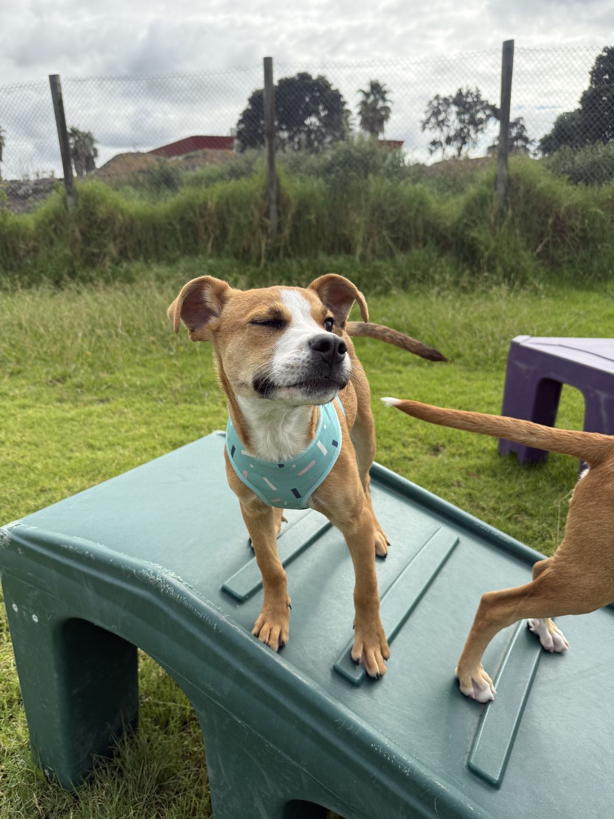 Gallery image: Daniel