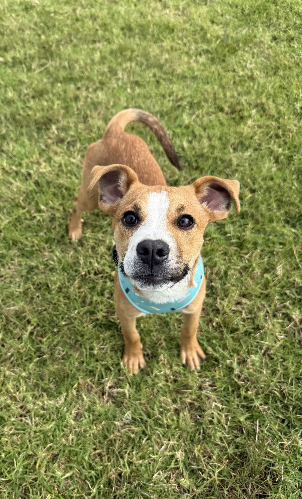 Gallery image: Daniel