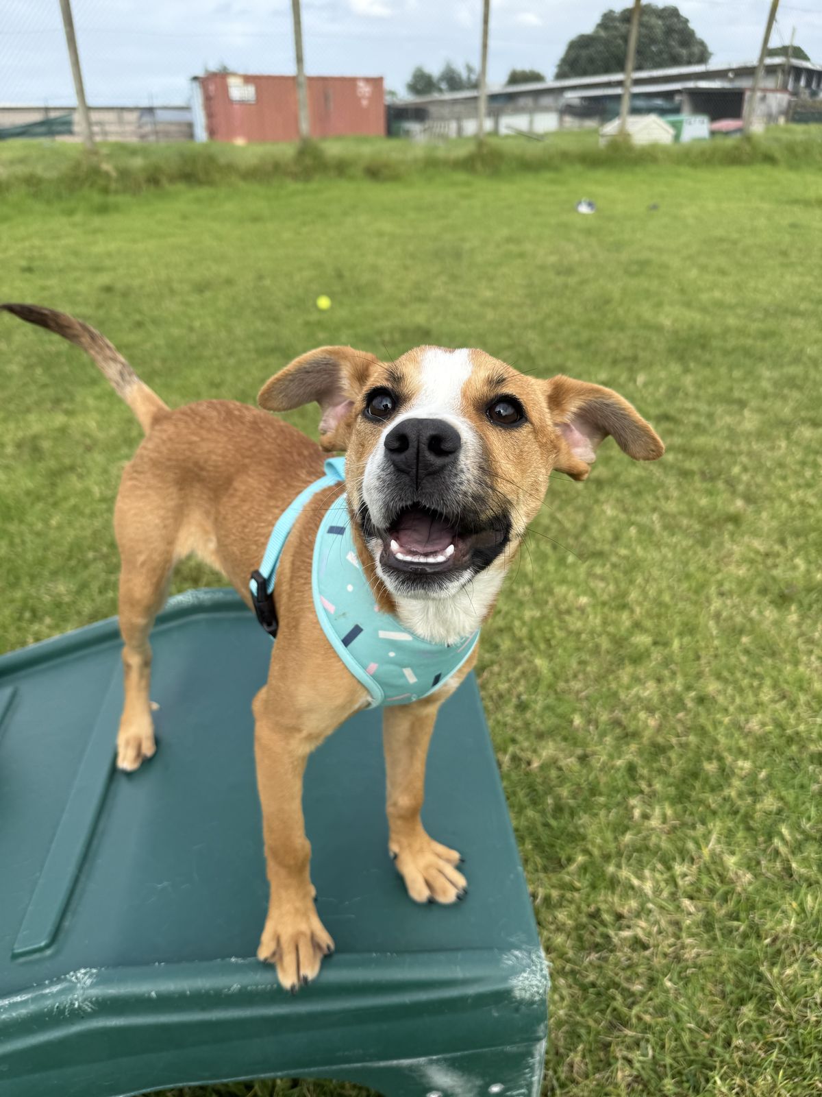 Gallery image: Daniel