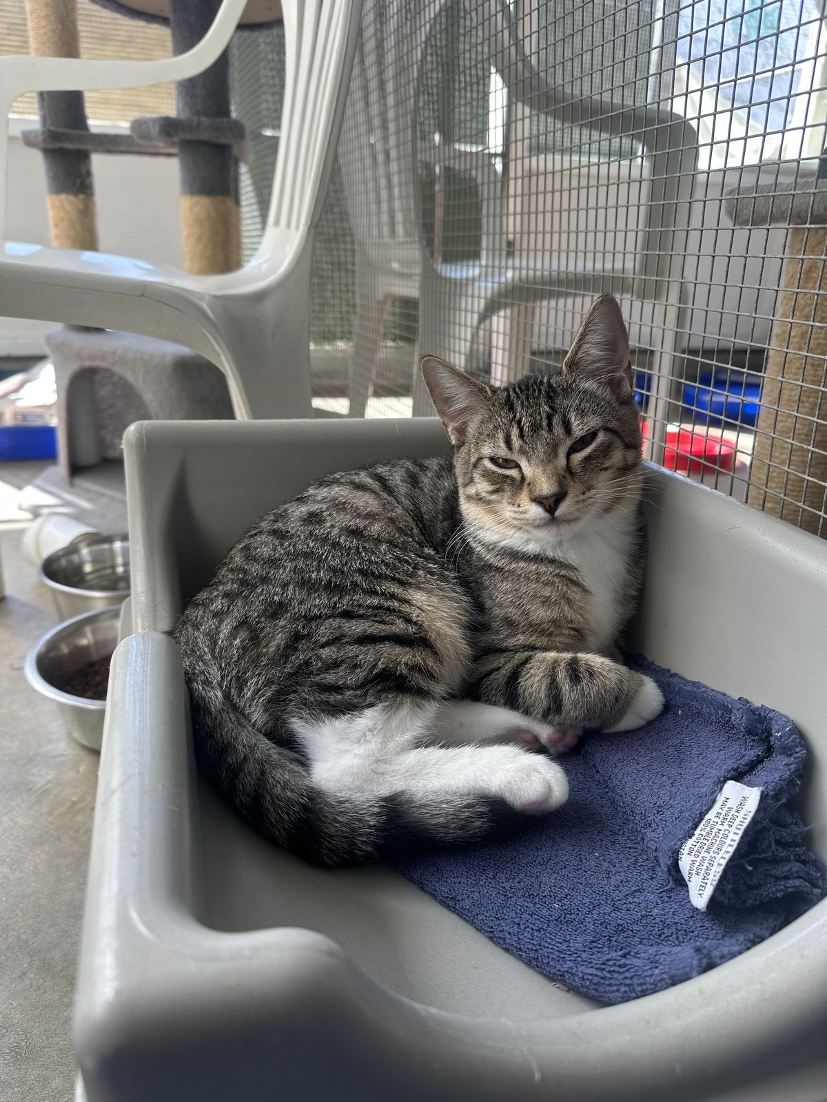 Gallery image: Storm