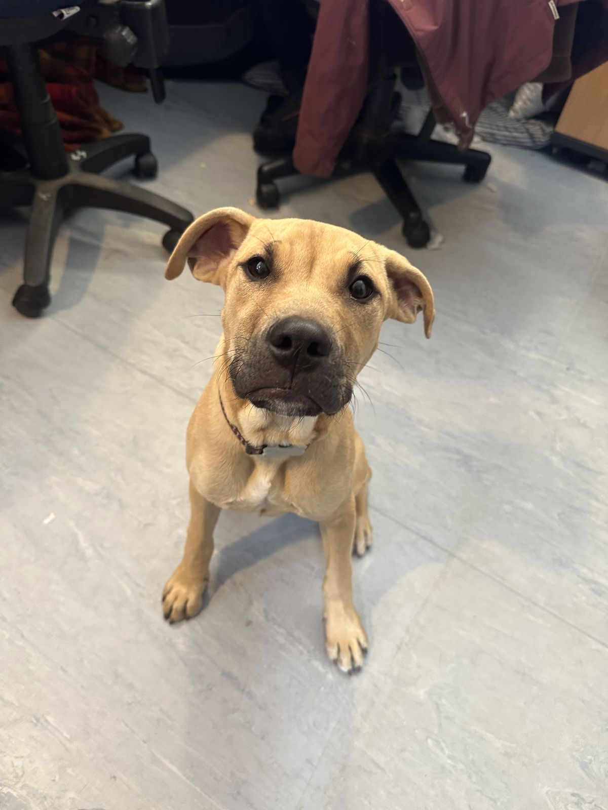 Gallery image: Newton