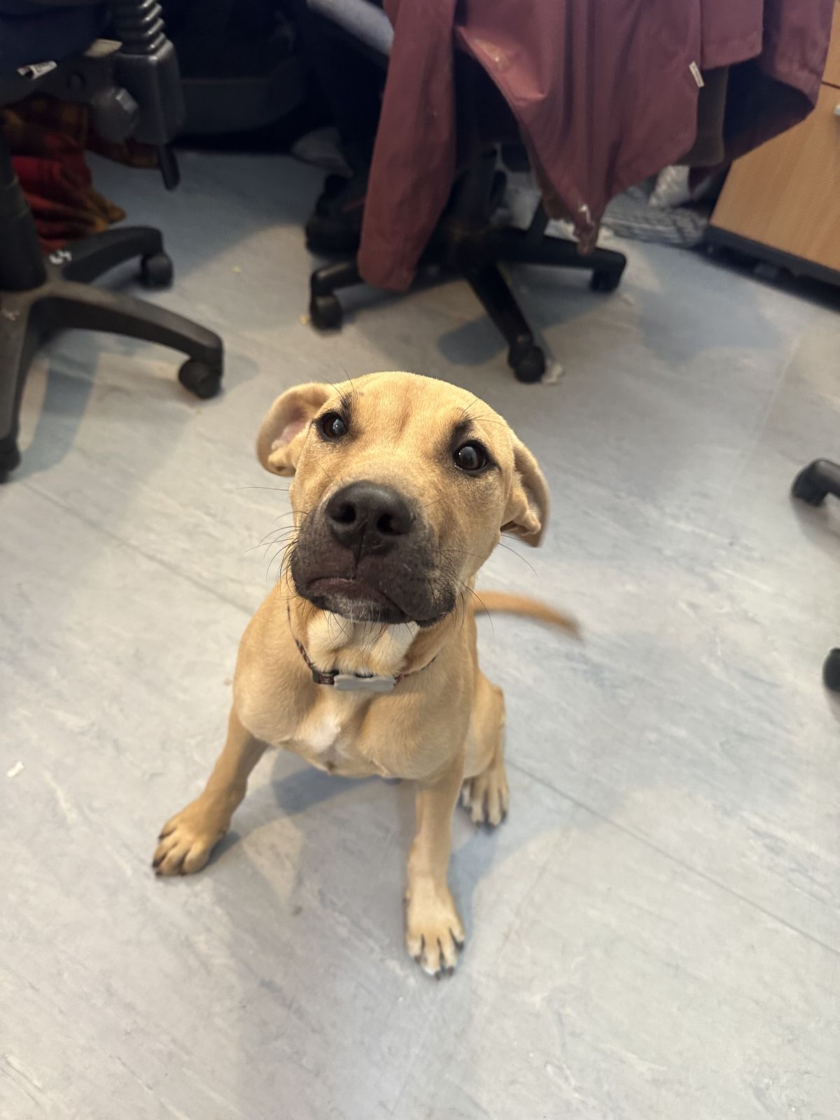 Gallery image: Newton