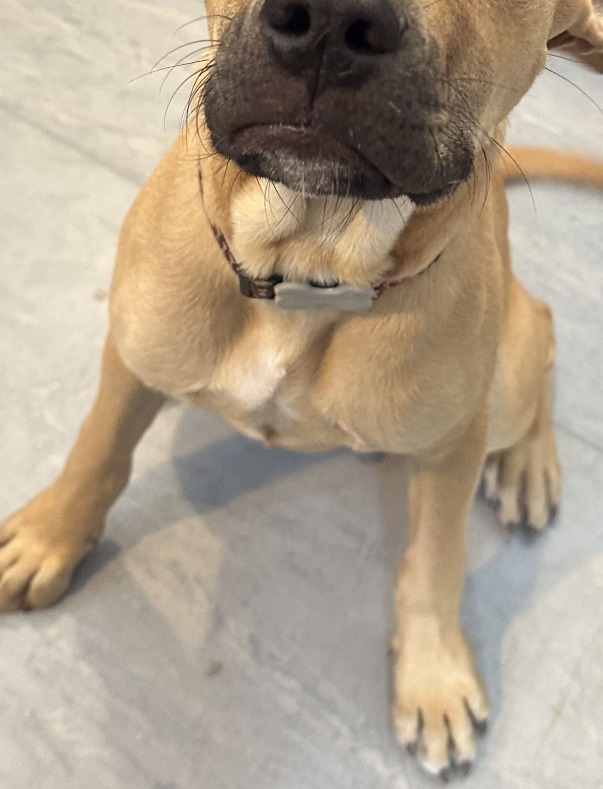 Gallery image: Newton