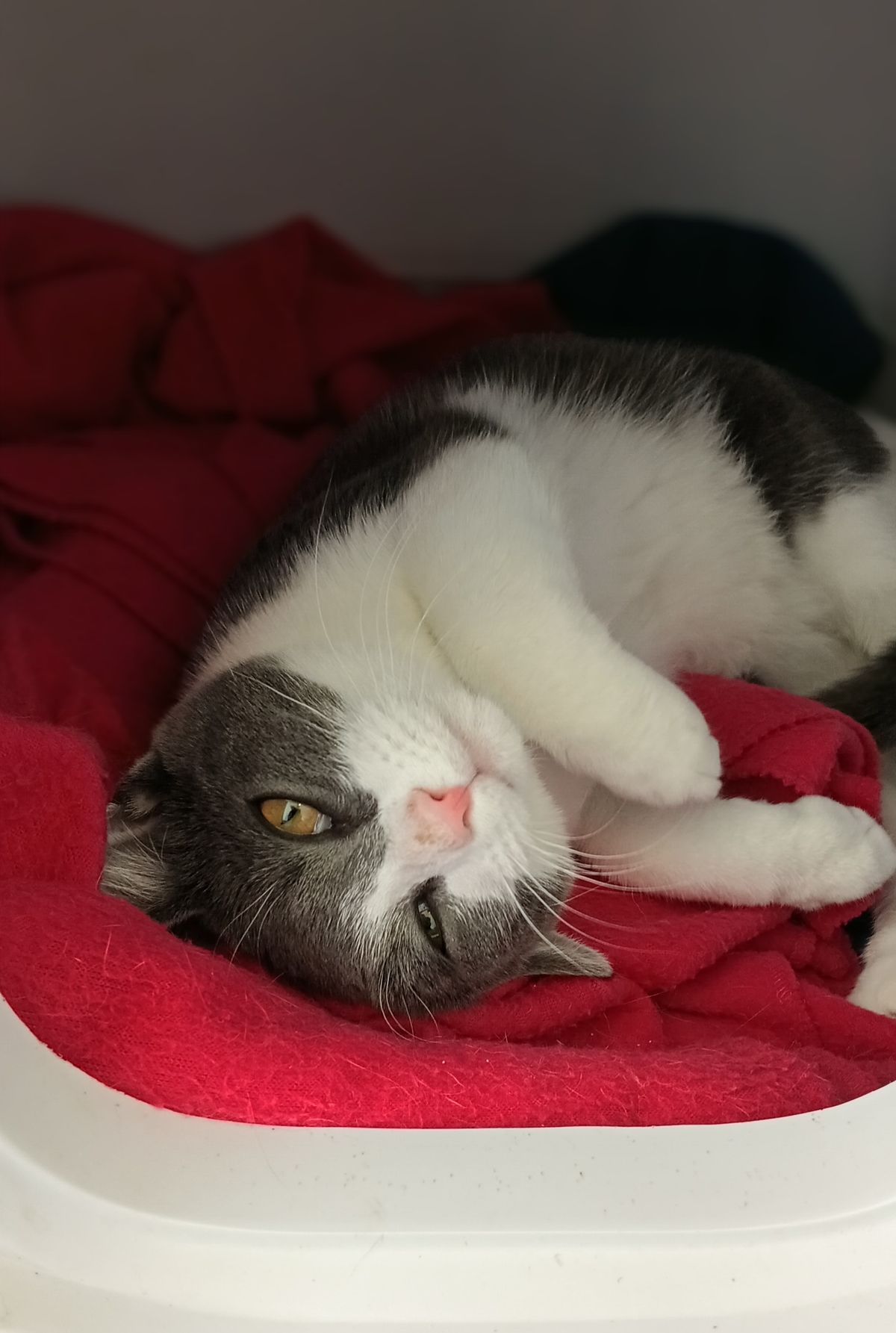 Gallery image: Arthur