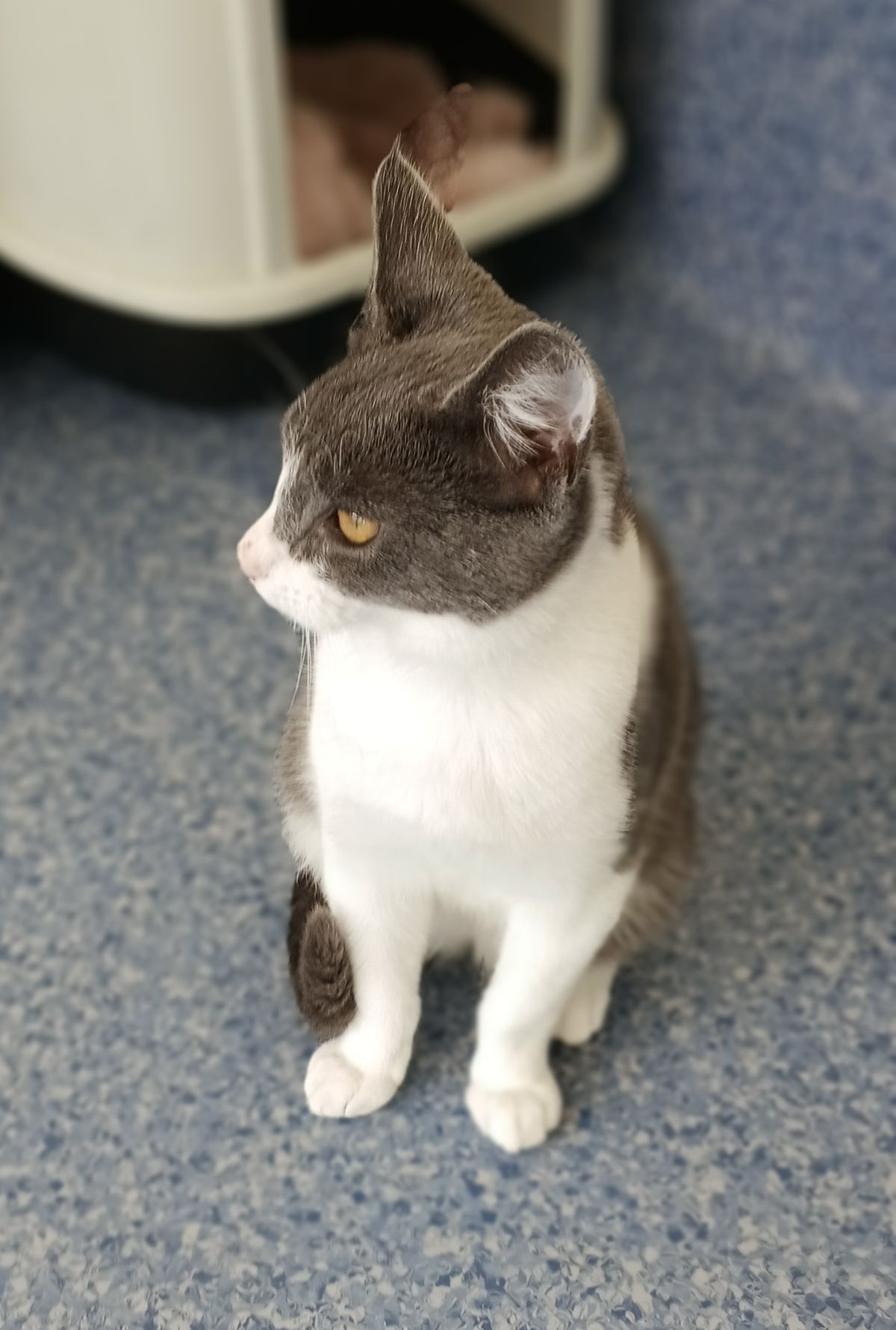 Gallery image: Arthur