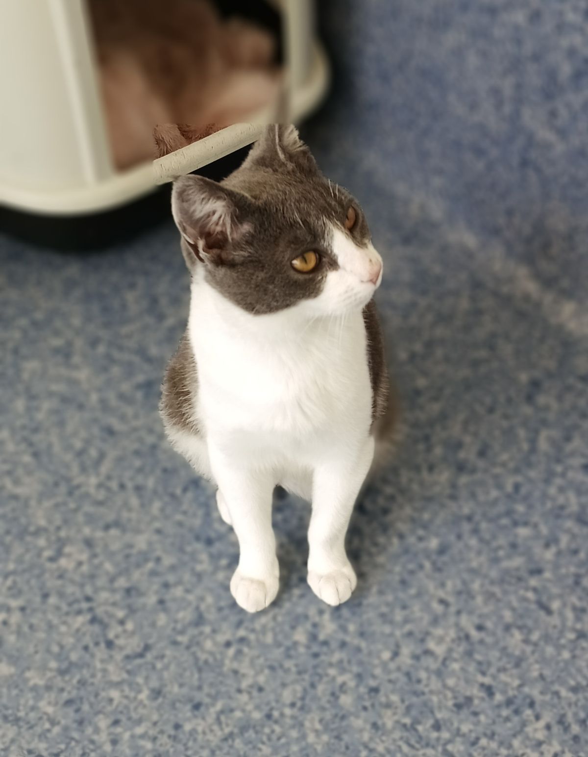 Gallery image: Arthur