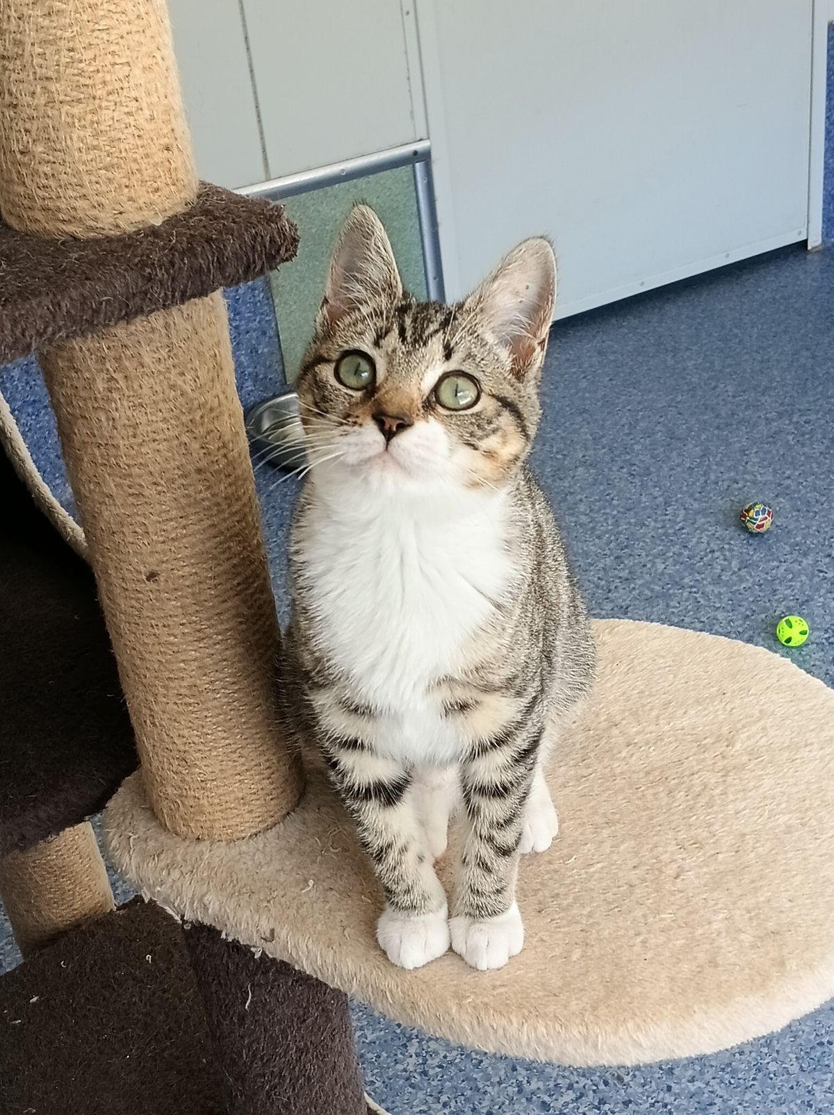 Gallery image: Emmette