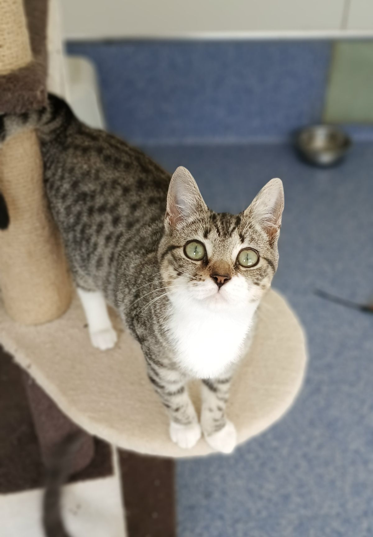 Gallery image: Emmette